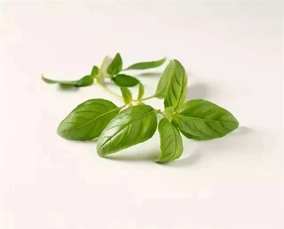 product-400-323 product-400-323